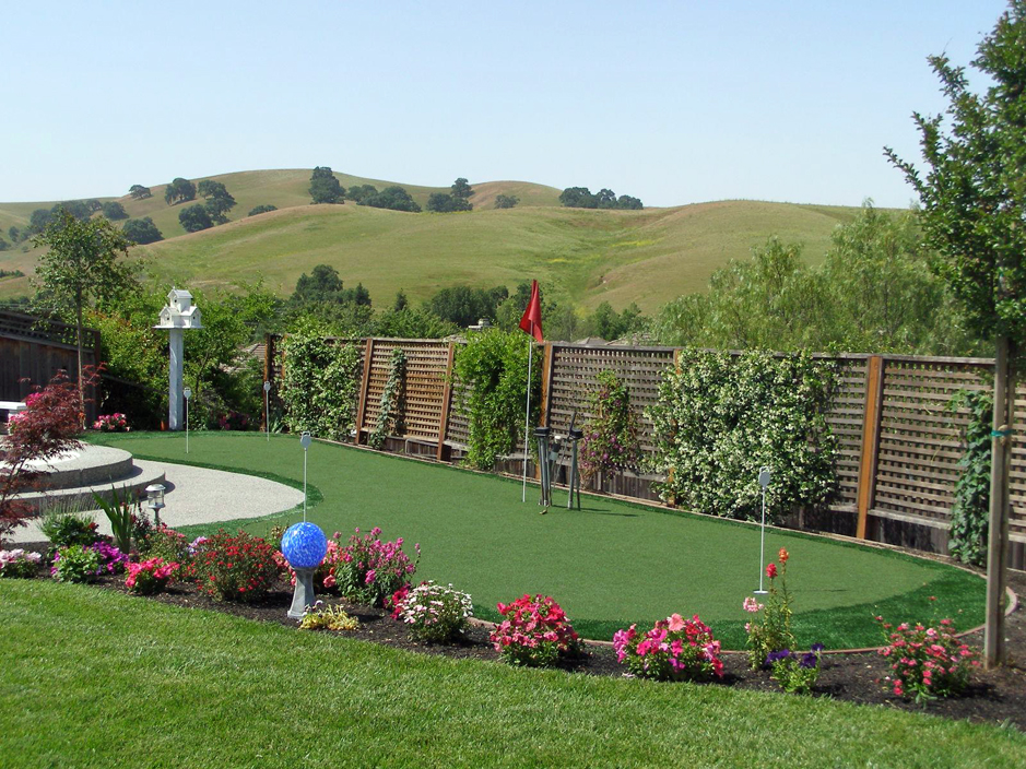 Best Artificial Grass Eden Prairie Minnesota Putting Green Carpet