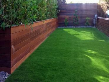 Artificial Grass Photos: Artificial Grass Abilene, Texas Home And Garden, Small Backyard Ideas