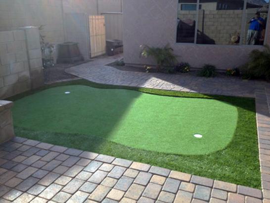 Artificial Grass Photos: Artificial Grass Bensonhurst, New York Golf Green, Backyard Landscaping