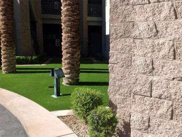 Artificial Grass Photos: Artificial Grass Boca Raton, Florida Landscaping, Commercial Landscape