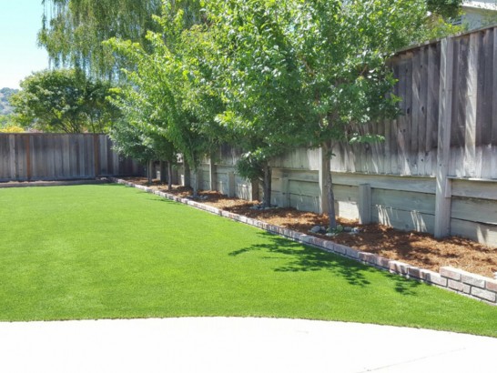 Artificial Grass Photos: Artificial Grass Bradenton, Florida Lawn And Landscape, Beautiful Backyards