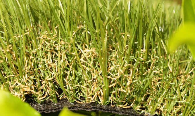 Caden 52 syntheticgrass AllGreen Grass