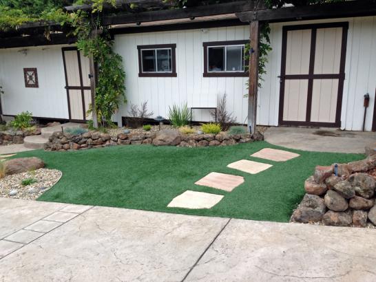 Artificial Grass Photos: Artificial Grass Carpet Bend, Oregon Lawns, Front Yard Design