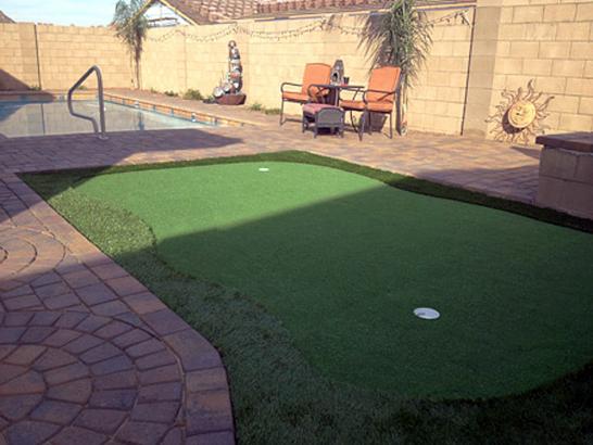 Artificial Grass Photos: Artificial Grass Carpet Bowling Green, Kentucky Office Putting Green, Natural Swimming Pools