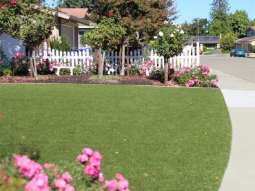 Artificial Grass Photos: Artificial Grass Carpet Carmel, Indiana Design Ideas, Small Front Yard Landscaping