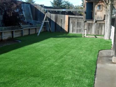 Artificial Grass Photos: Artificial Grass Carpet Chico, California City Landscape, Backyard Makeover