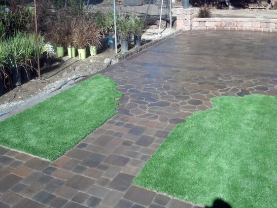 Artificial Grass Photos: Artificial Grass Carpet Dearborn Heights, Michigan Garden Ideas, Small Backyard Ideas