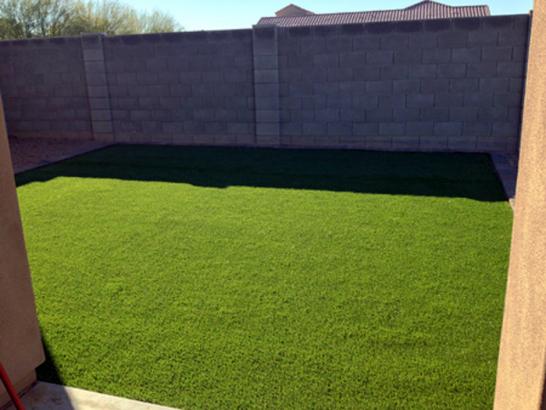 Artificial Grass Carpet Fairfield, Connecticut Roof Top, Backyard Landscaping Ideas artificial grass