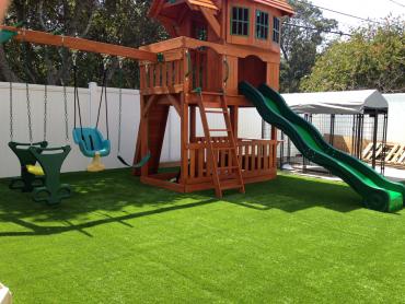 Artificial Grass Photos: Artificial Grass Carpet Gainesville, Florida Garden Ideas, Backyard Landscape Ideas