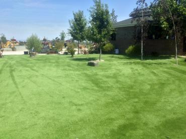 Artificial Grass Photos: Artificial Grass Carpet Glendale, California Hotel For Dogs, Parks