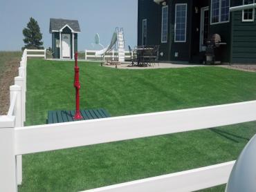 Artificial Grass Photos: Artificial Grass Carpet Green Bay, Wisconsin Roof Top, Front Yard Landscape Ideas