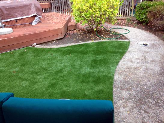 Artificial Grass Photos: Artificial Grass Carpet Madera, California Landscape Design, Small Backyard Ideas
