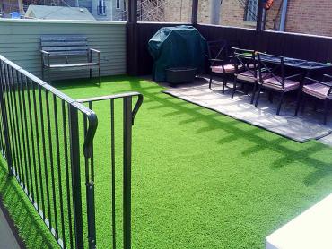 Artificial Grass Photos: Artificial Grass Carpet North Glendale, California Landscaping Business, Backyard Design