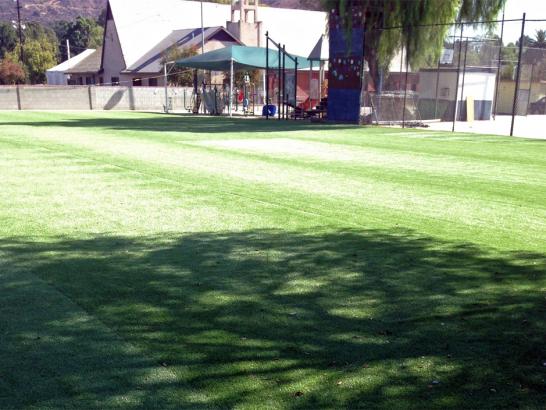 Artificial Grass Photos: Artificial Grass Carpet Passaic, New Jersey Landscape Photos, Parks