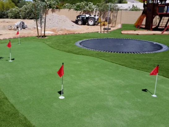 Artificial Grass Photos: Artificial Grass Carpet Redford, Michigan Diy Putting Green, Backyard Landscaping Ideas