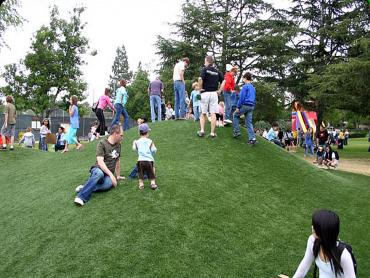 Artificial Grass Photos: Artificial Grass Carpet Roswell, Georgia City Landscape, Parks