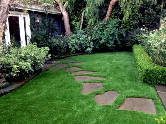 Artificial Grass Photos: Artificial Grass Carpet Skokie, Illinois Design Ideas, Backyard Design