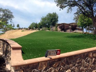 Artificial Grass Photos: Artificial Grass Carpet Spokane Valley, Washington Lawns, Front Yard Landscaping