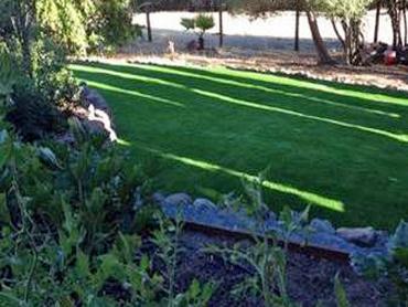 Artificial Grass Photos: Artificial Grass Carpet West Albany, New York Lawns, Backyard