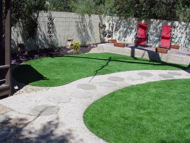 Artificial Grass Photos: Artificial Grass Cary, North Carolina Design Ideas, Backyard Landscape Ideas