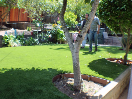 Artificial Grass Photos: Artificial Grass Coconut Creek, Florida Lawn And Garden, Backyard Ideas