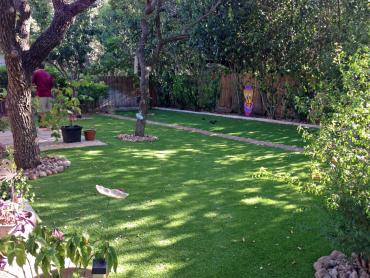 Artificial Grass Photos: Artificial Grass El Cajon, California Landscape Design, Backyard Makeover