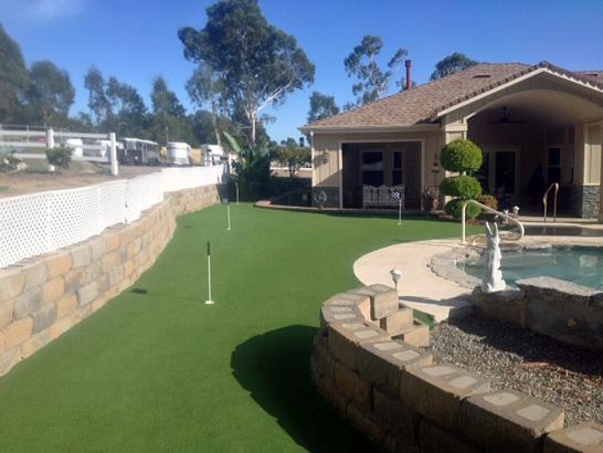 Artificial Grass Photos: Artificial Grass Flagstaff, Arizona Outdoor Putting Green, Backyard