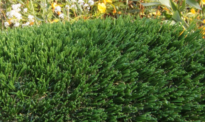Haven-63 syntheticgrass AllGreen Grass
