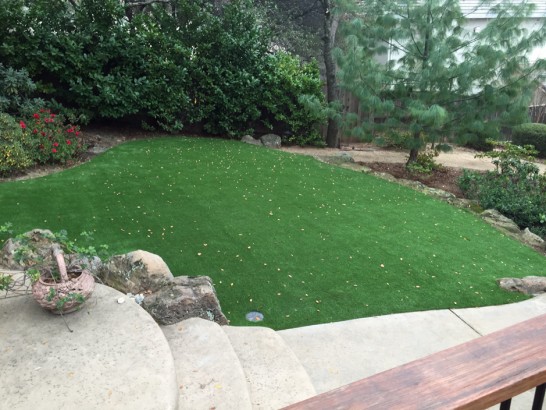 Artificial Grass Photos: Artificial Grass Installation Delano, California Landscaping, Small Backyard Ideas