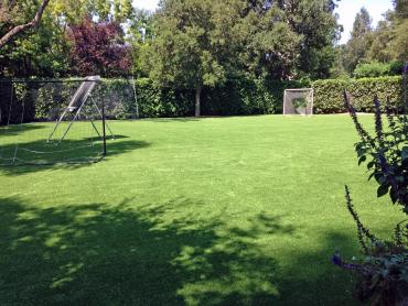 Artificial Grass Photos: Artificial Grass Installation Fort Collins, Colorado Sports Turf, Beautiful Backyards