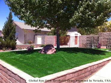 Artificial Grass Photos: Artificial Grass Jacksonville, Florida Design Ideas, Front Yard