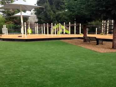 Artificial Grass Photos: Artificial Grass Lees Summit, Missouri Playground, Backyard Landscaping Ideas