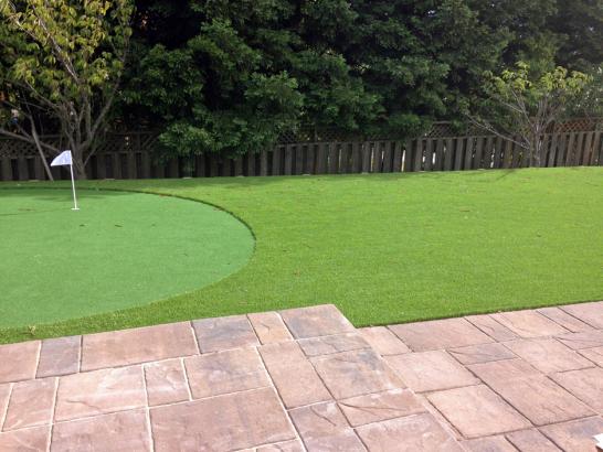 Artificial Grass Photos: Artificial Grass Missoula, Montana Garden Ideas, Backyard Landscaping Ideas