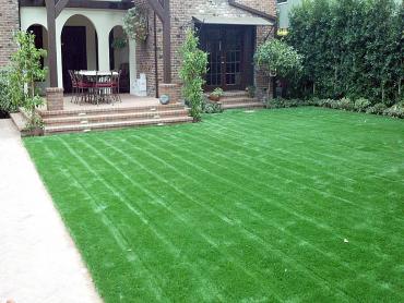 Artificial Grass Photos: Artificial Grass Orange, California Roof Top, Front Yard Design