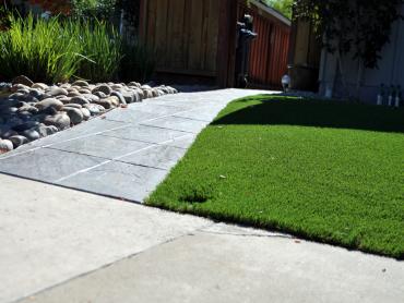 Artificial Grass Photos: Artificial Grass Racine, Wisconsin Backyard Playground, Front Yard Ideas