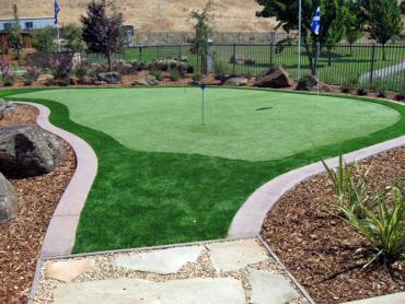 Artificial Grass Photos: Artificial Grass Sandy Springs, Georgia Lawns, Backyard Ideas