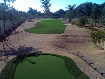 Artificial Grass Photos: Artificial Grass Simi Valley, California How To Build A Putting Green, Backyards