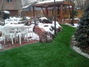 Artificial Grass Photos: Artificial Grass South Boston, Massachusetts Garden Ideas, Backyards