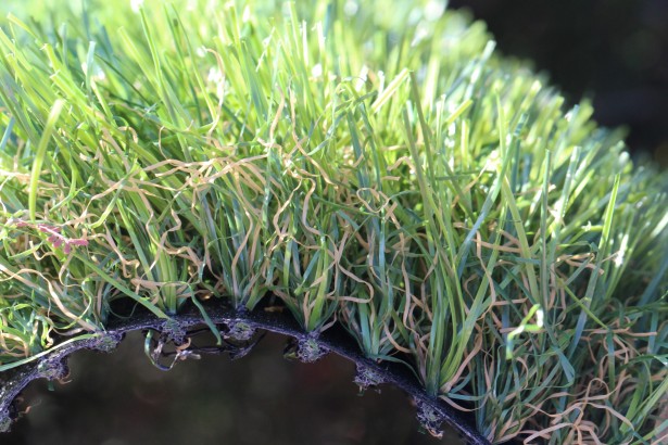 St. Augustine 60 syntheticgrass AllGreen Grass