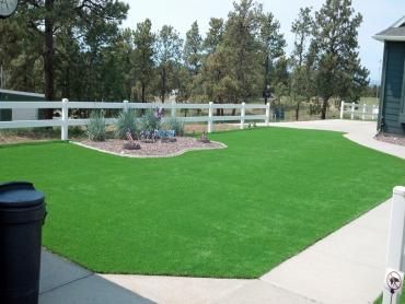 Artificial Grass Photos: Artificial Grass St. Louis, Missouri Lawn And Garden, Front Yard Landscaping Ideas