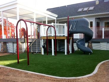 Artificial Grass Photos: Artificial Grass Sunrise Manor, Nevada Rooftop, Backyard Ideas