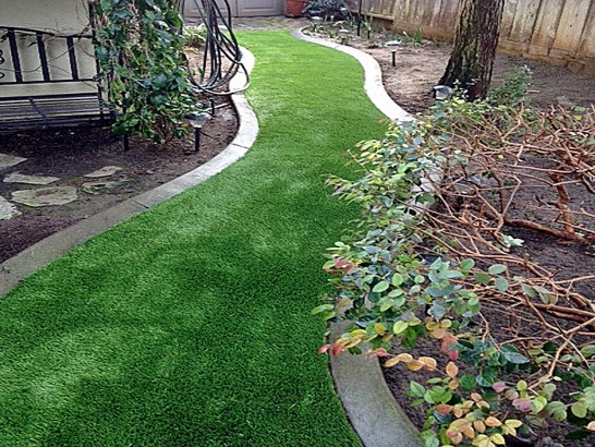 Artificial Grass Photos: Artificial Grass Towson, Maryland Landscape Design, Beautiful Backyards