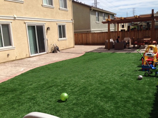 Artificial Grass Photos: Artificial Grass Troy, New York Lawn And Landscape, Backyard