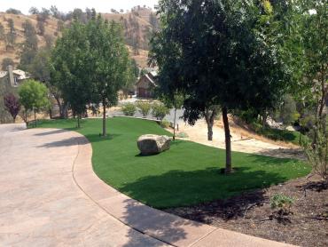 Artificial Grass Photos: Artificial Grass Vancouver, Washington Landscape Rock, Front Yard Landscaping