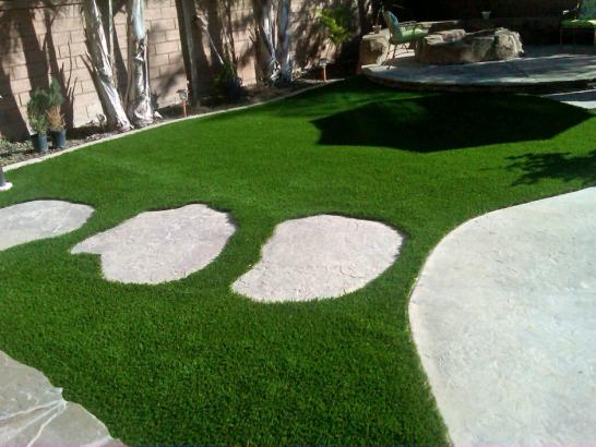 Artificial Grass Photos: Artificial Grass Waltham, Massachusetts Landscaping Business, Backyard