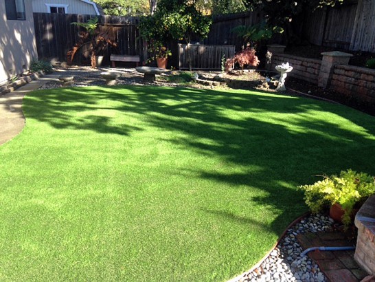 Artificial Grass Photos: Artificial Grass Weymouth, Massachusetts Dog Running, Backyard Design