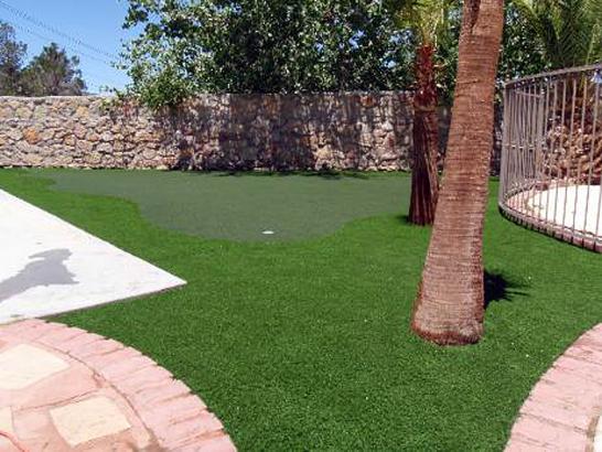 Artificial Grass Photos: Artificial Lawn Castro Valley, California Lawn And Garden, Backyard