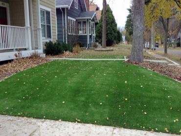 Artificial Grass Photos: Artificial Lawn Clarksville, Tennessee Roof Top, Front Yard Ideas
