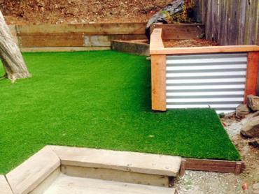 Artificial Grass Photos: Artificial Lawn Greeley, Colorado Landscape Ideas, Small Backyard Ideas