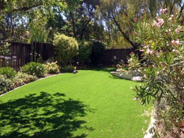 Artificial Grass Photos: Artificial Lawn Hialeah, Florida Home And Garden, Backyard Makeover